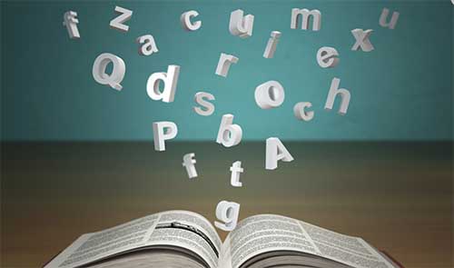 读书笔记好句摘抄及感悟赏析《昆虫记》读书笔记300字